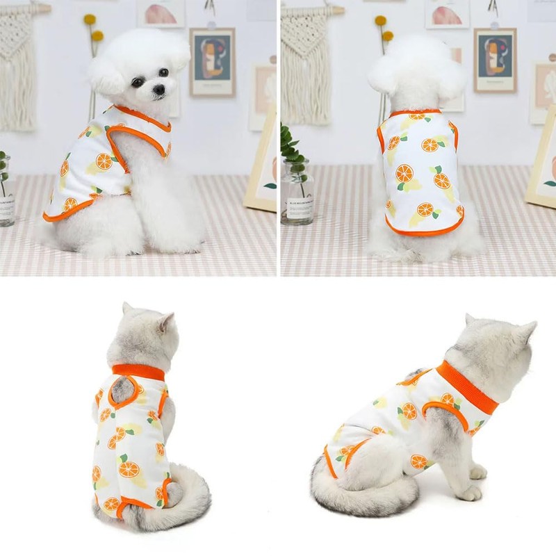 CELONROMF 2-Pack Pet Post-Surgery Recovery Suit for Cats Dogs, Abdominal