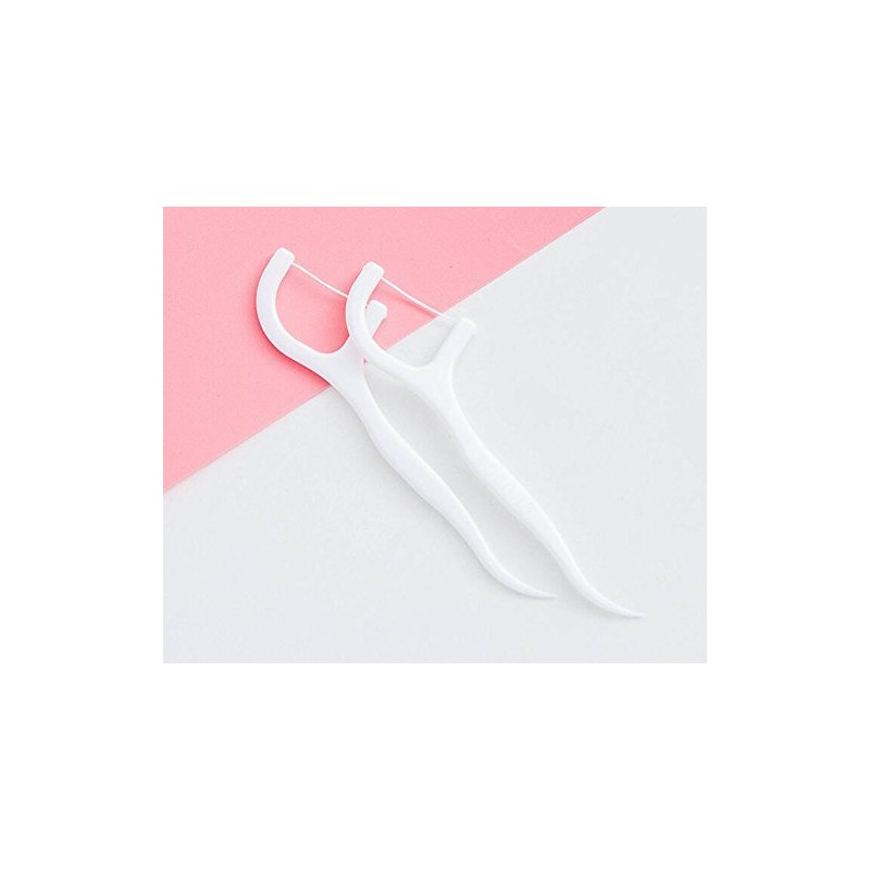 VNDEFUL 100Pcs(5 Packets ) White Dental Floss Picks Toothpicks Stick