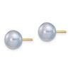 14K Yellow Gold 7-8mm Grey Button FW Cultured Pearl Stud