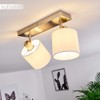 Alsen Light Series Ceiling Light in Various Designs