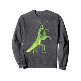 Praying Mantis Costume Entomologist Kids Praying Mantis Sweatshirt