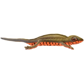 Hansa 8141 Newt Japanese 23cm.L