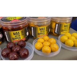 Haldorado MAX MOTION Carp Fishing Dipped Boilie Bait, Sweet Pineapple, Yellow, 20 mm