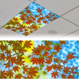 WYNIM 2 Pack Maple Leaf Fluorescent Light Cover for Ceiling Light - Magnetic Light Covers Classroom, Light Filters Drop Fluorescent Light Shade Panel for Office Home School,4 X 2 Ft