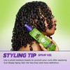 Garnier Fructis Style Curl Shape Defining Spray Gel for No