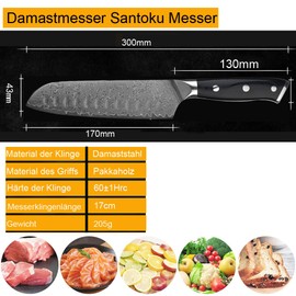 COOSNUG Damascus Chef Knife 8 inch, Japanese VG-10 Stainless Steel 67 Layers Damascus Knife, Japanese Chef Knife Kitchen Knife, Sharp Cooking Knife With Full Tang Handle (Santoku Knife)