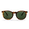 CHPO Unisex Torö Sunglasses, Turtle Brown, 48, Turtle Brown
