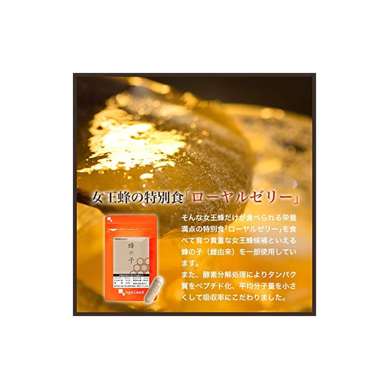 ogaland Beechwood Supplement (90 Capsules, Approx. 3 Month Supply), Royal