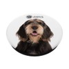 AKC Otterhound Photo PopSocket