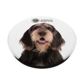 AKC Otterhound Photo PopSocket