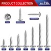 #8 x 5/8" Wood Screw 500Pcs 410 Stainless Steel Standard