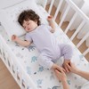 Baby Crib Sheets (2-Pack) for Boys Girls, Soft Fitted Sheets