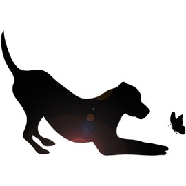Vinyl Wall Decal Pet Shop Silhouette Dog with Butterfly Animal Stickers Large Decor (2921ig) Black