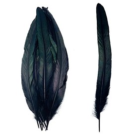 50pcs 13-16 Inches Long Natural Rooster Coque Tail Feathers for Hat Costume Decoration Crafts (Black)