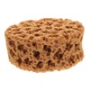 Sosoport Imitation Sea Sponge Painting Tool Unique Textured Sponge Brush