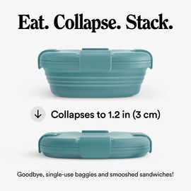 Stojo Collapsible Sandwich Box – Eucalyptus Green, 24oz - Reusable Food Storage Container - To-Go Travel Silicone Bowl for Hot and Cold Food - for Meal Prep, Lunch, Camping and Hiking- Dishwasher Safe