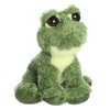 Aurora® Enchanting Dreamy Eyes™ Fantabulous Frog™ Stuffed Animal - Captivating