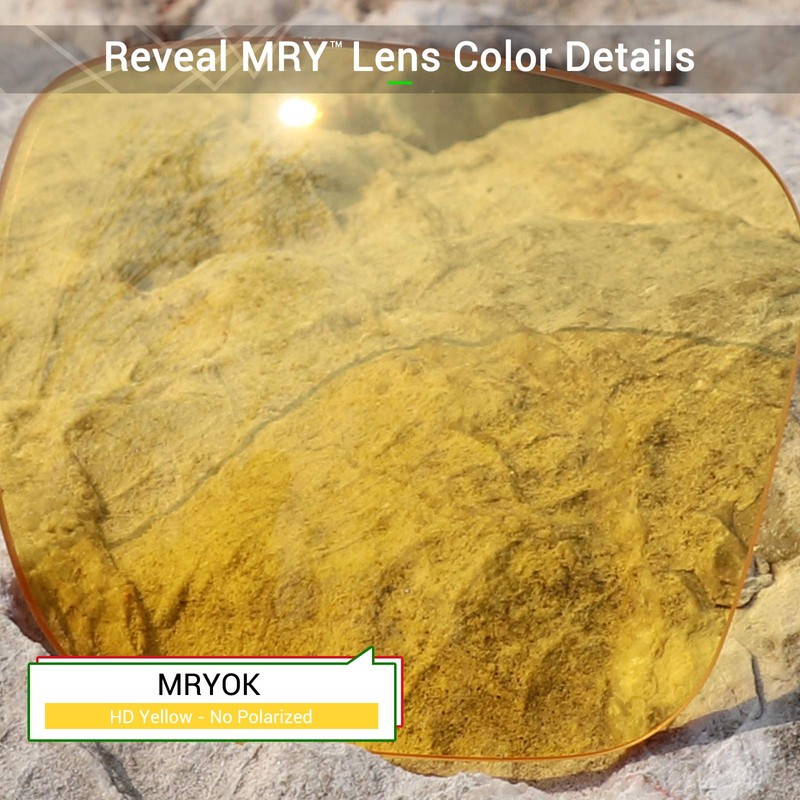 Mryok Replacement Lenses for Bose Tenor - Options Non Polarized