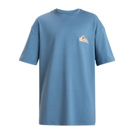 Quiksilver Boys Everyday Surf Tee SS Youth Wetsuits