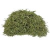 Romero 100 grs | Hoja entera | Especia, Condimento |