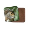 1 x Wild Squirrel Coaster - Nature Wildlife Animals Woods