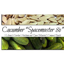 Ultra-Compact Cucumber Plant Seeds “Space Master 80” - Ideal for Container Gardens and Patio Gardens – Heirloom Seeds | Liliana's Garden |