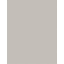 Pacon 18-Point Heavy Coated Poster Board, 22" by 28", Gray, 25-Sheets (5376-1)