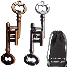 GINFH Brain Teaser Puzzle 3D Unlock Interlocking Puzzle Metal Hole Lock Adult Educational Toy Puzzle IQ Puzzle (Gold Silver Key)