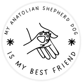 Kiwi Gifts My Anatolian Shepherd Dog is My Best Friend - 100 Pack Circle Stickers 3 Inch