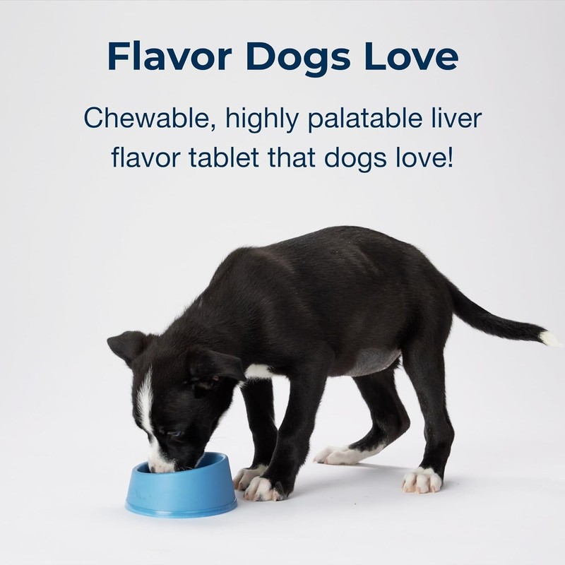 PetAg Sure Grow Supplement for Dogs & Growing Puppies 100