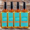Blasea Natural Hair Care Argan Oil Hair Essence 4 Pieces 100ml / 블라세아 자연유래 헤어케어 아르간오일 헤어에센스 4개 100ml