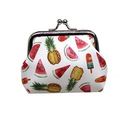 Lovely Watermelon Pineapple Ice Cream Coin Purse- Mini Colorful Clasp Pouch Wallet Key Bags Money Bag, Perfect Gifts for Girls Kids Purses Women Wallets Buckle Party Favors