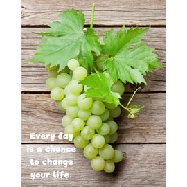 Green Grape Wood Wallpaper Notebook: For students and educational institutions, suitable for women and men, office workers, teenagers, women, men and ... gift for special occasions, 8.5x11, 100 pages