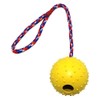 4 Pieces Dog Ball on Rope Interactive Dog Training Ball