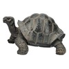 Figuren Shop GmbH HotAnt Landturtle Garden Figurine 17 cm Realistic