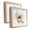 TouYinger 5x5 Small Shadow Box Frame Display Case , Display