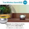 Ohm Electric AudioComm Wireless Mini Speaker Silver ASP-W50N-S 03-2416 OHM