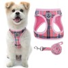 PAWCHIE Dog Harness and Leash Set - No Pull Soft
