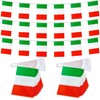 TSMD 2 Packs Italy Flag Banner Italian Flags String Small