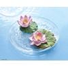 Pajico 101192 Water-resistant Lightweight Clay, Tokenai-kun, 3.5 oz (100 g),