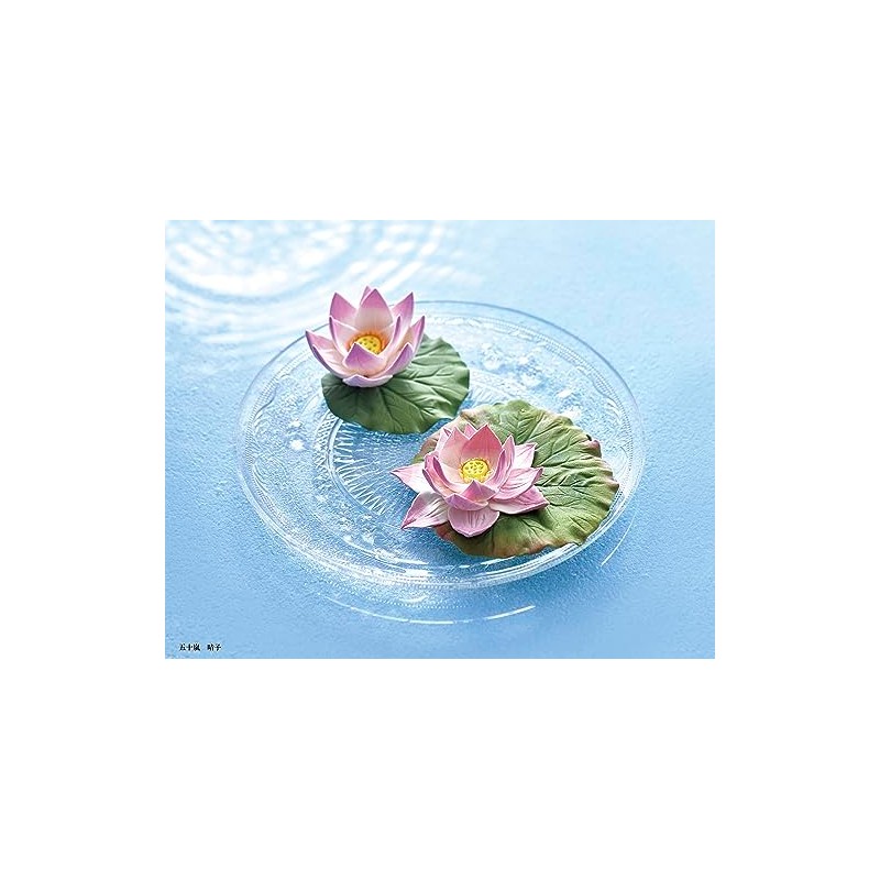 Pajico 101192 Water-resistant Lightweight Clay, Tokenai-kun, 3.5 oz (100 g),