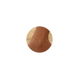 Havopso 18K Gold Plated Ankle Bracelets for Women Stainless Steel Anklet with Star Cross Disc Coin Teardrop Charms Waterproof Thin Chain Ankle Jewelry Gift for Her