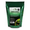Moringa Tea Organic 100 Bags 100% Pure, All-natural, Antioxidant-rich Energy