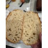 ZOURDOUGH SOURDOUGH The Apostle sourdough starter yeast New Release for