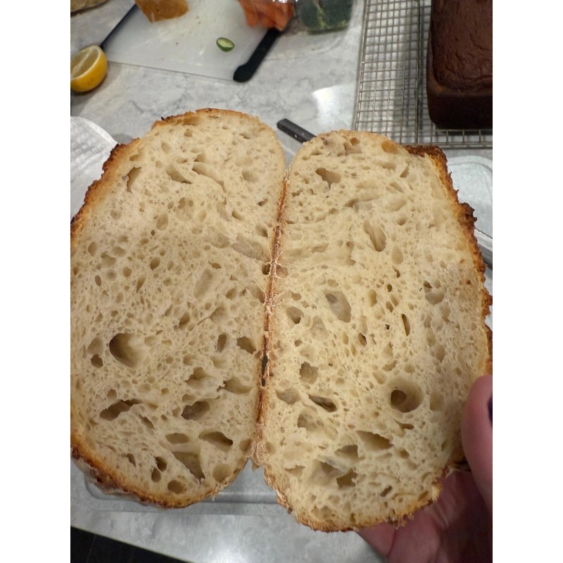 ZOURDOUGH SOURDOUGH The Apostle sourdough starter yeast New Release for