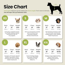 Fitwarm - Paquete de 2 camisas de perro con protección solar UV UPF 50+, chaleco ligero de enfriamiento, ropa de verano de secado rápido para perros pequeños y niñas, traje de mascota, morado, rosa