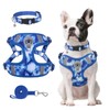 BEAUTYZOO Dog Harness Collar and Leash Set, No Pull Step