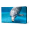 SIGNWIN Canvas Wall Art Lovely Dolphin Canvas Prints Home Artwork