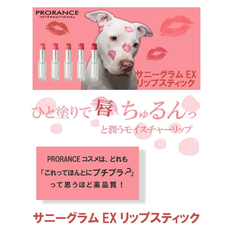 Prolance Sunny Glam EX Lipstick 102