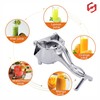 SUL Manual Fruit Juicer